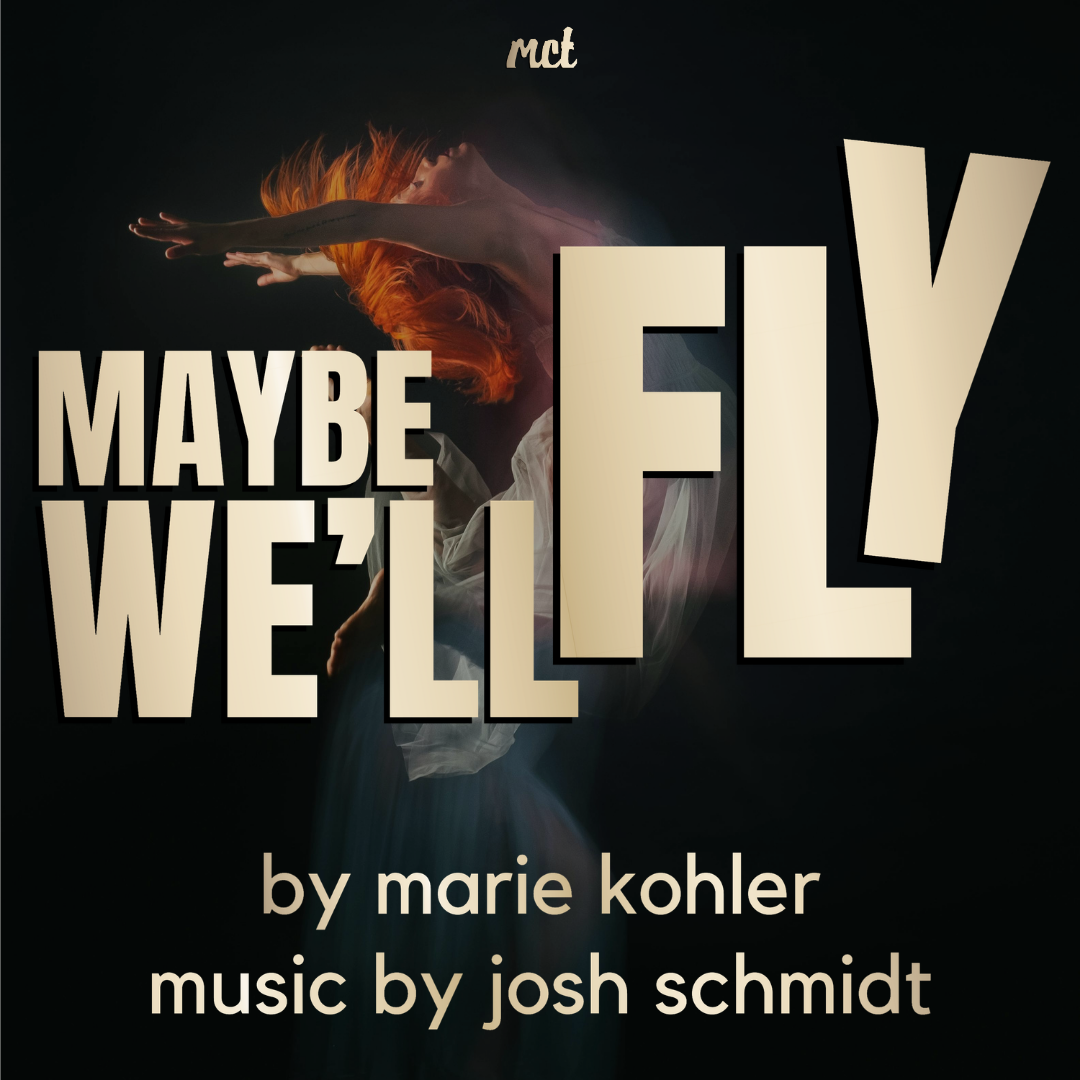 Maybe We'll Fly
